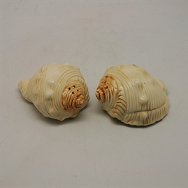 Εικόνα της 563-718